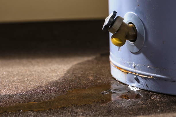 Best Commercial water damage restoration  in Regency At Monroe, NJ