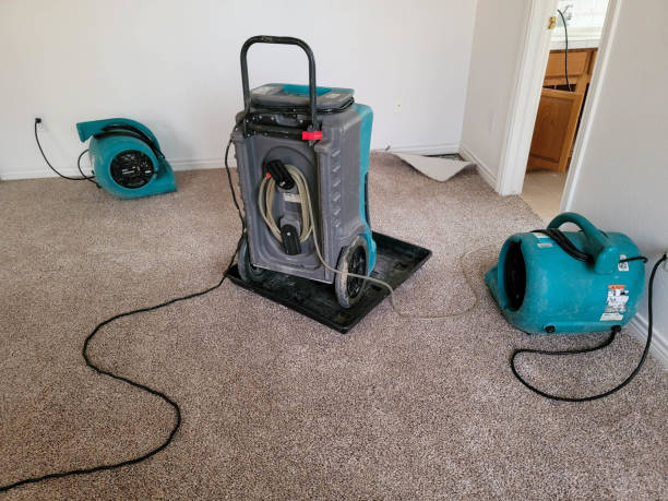 Best Water damage restoration services  in Regency At Monroe, NJ