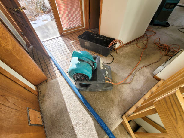 Best Water damage contractors near me  in Regency At Monroe, NJ