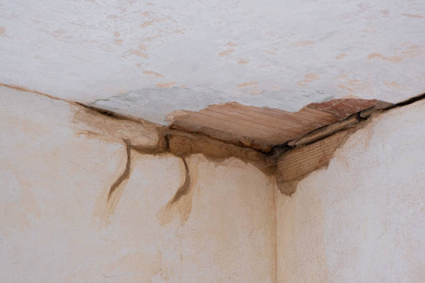 Best Water damage cleanup near me  in Regency At Monroe, NJ