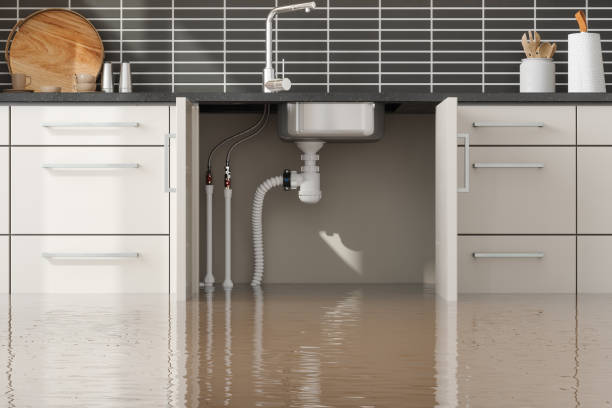 Best Water damage cleanup near me  in Regency At Monroe, NJ