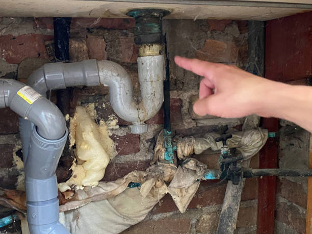 Best Ceiling water damage repair  in Regency At Monroe, NJ